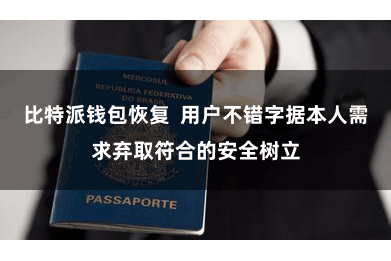 比特派钱包恢复 用户不错字据本人需求弃取符合的安全树立