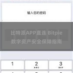 比特派APP直连 Bitpie数字资产安全保障指南