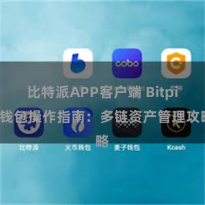 比特派APP客户端 Bitpie钱包操作指南：多链资产管理攻略