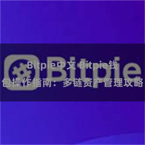 Bitpie中文 Bitpie钱包操作指南：多链资产管理攻略