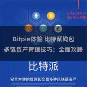 Bitpie体验 比特派钱包多链资产管理技巧：全面攻略