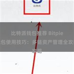 比特派钱包推荐 Bitpie钱包使用技巧：多链资产管理全攻略