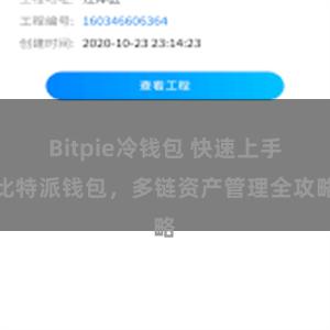 Bitpie冷钱包 快速上手比特派钱包，多链资产管理全攻略