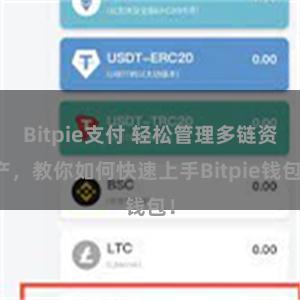 Bitpie支付 轻松管理多链资产，教你如何快速上手Bitpie钱包！