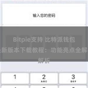 Bitpie支持 比特派钱包最新版本下载教程：功能亮点全解析