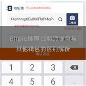 Bitpie推荐 比特派钱包与其他钱包的区别解析