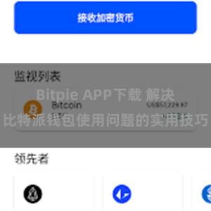 Bitpie APP下载 解决比特派钱包使用问题的实用技巧