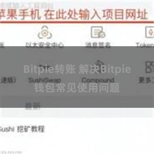 Bitpie转账 解决Bitpie钱包常见使用问题