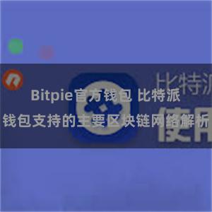 Bitpie官方钱包 比特派钱包支持的主要区块链网络解析