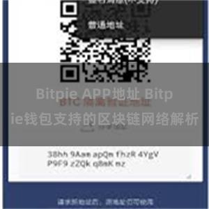 Bitpie APP地址 Bitpie钱包支持的区块链网络解析