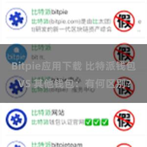 Bitpie应用下载 比特派钱包 VS 其他钱包：有何区别？