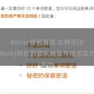 Bitpie钱包直连 比特派(Bitpie)钱包的团队背景与技术实力