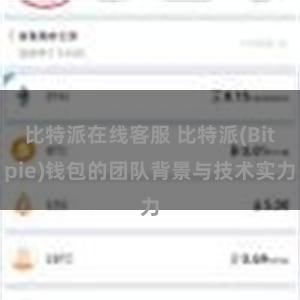 比特派在线客服 比特派(Bitpie)钱包的团队背景与技术实力