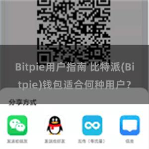 Bitpie用户指南 比特派(Bitpie)钱包适合何种用户？