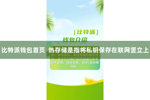 比特派钱包首页  热存储是指将私钥保存在联网竖立上